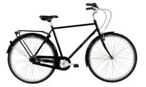 Raleigh Darlington Herre 3 GEAR