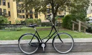 CLASSIC NUNU'S DAME LETVÆGTSCYKEL 2024