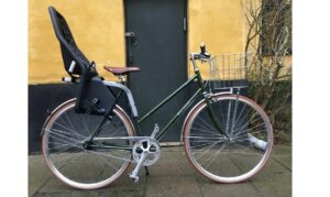 Raleigh kent