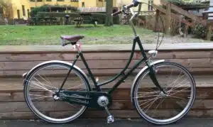 Nunus silver classic 2021