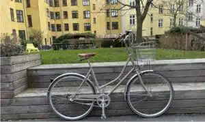 Nunus classic 2022 LTD