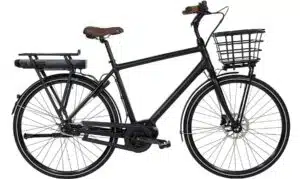 Raleigh Sussex E2 Herr