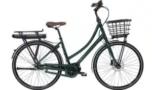 Raleigh Sussex E2 grøn