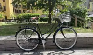 Raleigh Darlingtom letvægtsmodel sort